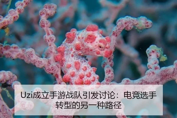 cheng-li-shou-you-zhan-dui-yin-fa-tao-lun-dian-jing-xuan-shou-zhuan-xing-de-ling-yi-zhong-lu-jing-2-690.jpg